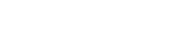 Consulting-E